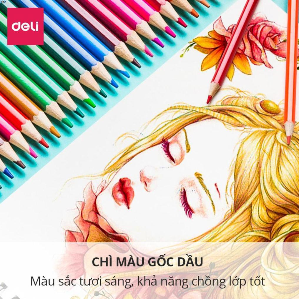 Bút chì màu chuyên nghiệp dạng cốc Deli 24/36/48 màu - 68123/68124/68125 .