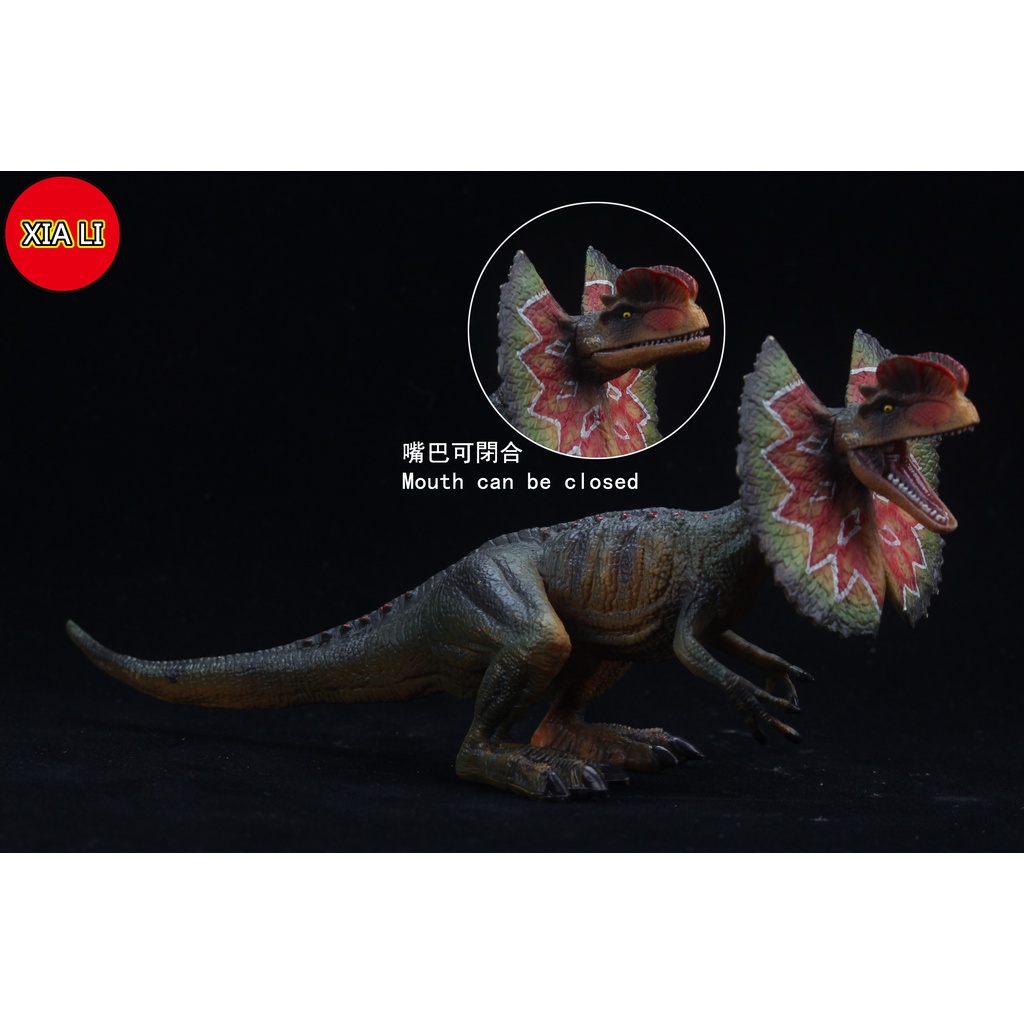 Đồ Chơi Mô Hình Khủng Long Dilophosaurus Cỡ Lớn Mới Dành Cho Trẻ Em