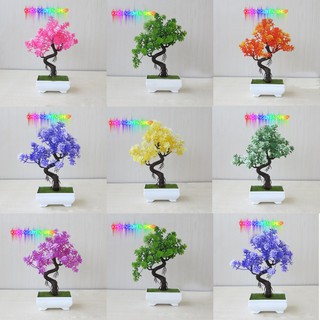 BON SAI MAY MẮN ĐỂ BÀN TRANG TRÍ CỰC ĐẸP - BON SAI TRANG TRÍ PHÒNG KHÁCH - HOA GIẢ TRANG TRÍ