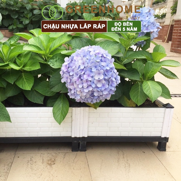 Chậu nhựa lắp ráp Greenhome, D40xR40x35cm, trồng hoa hồng, cây leo, rau, củ, quả, độ bền 5 năm, nhiều kích thước