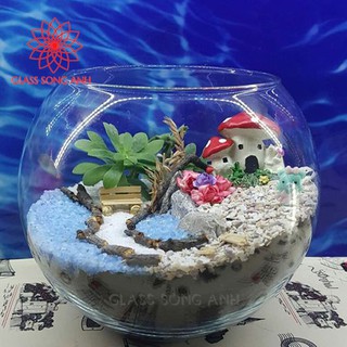 Chậu thủy tinh trang trí, chậu thủy tinh trồng cây thủy sinh, bể cá mini để bàn