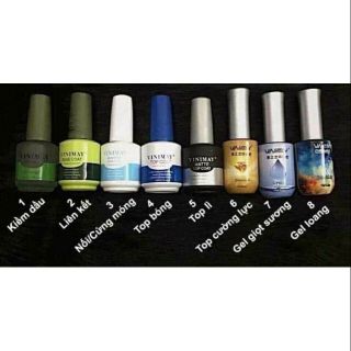 Base ,top , cứng móng , top lì vinimay