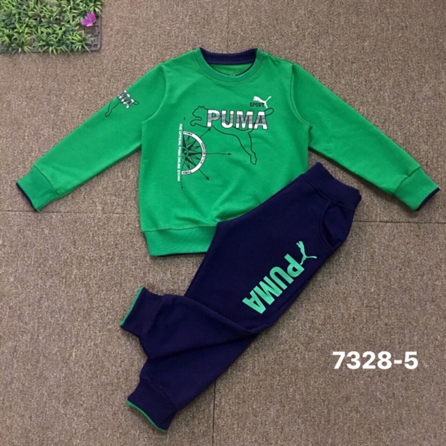 Bộ puma