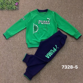 Bộ puma