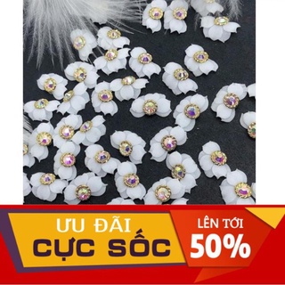 Hoa cúc nhọn - Hoa bột nail