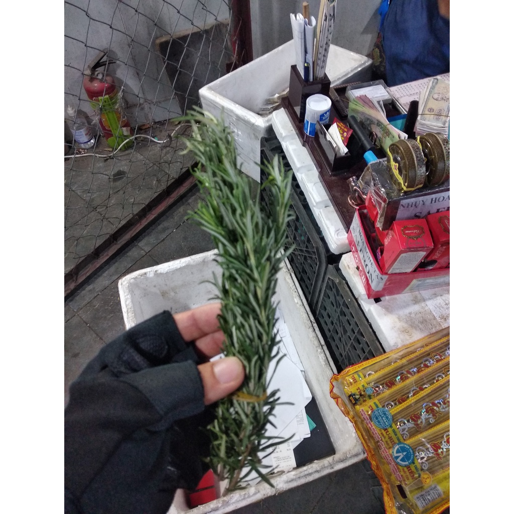 Rosemary Lá hương thảo tươi Fresh leaves để trồng cây, nấu ăn 100g