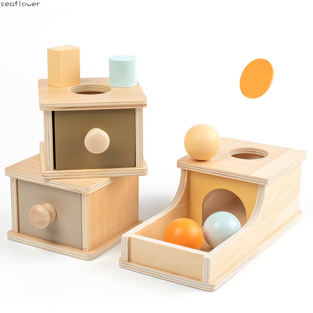 Đồ Chơi Hộp Gỗ Đựng Tiền Xu Giáo Dục Nhận Thức Cho Trẻ Em