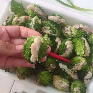 Hạt giống Khổ qua rừng