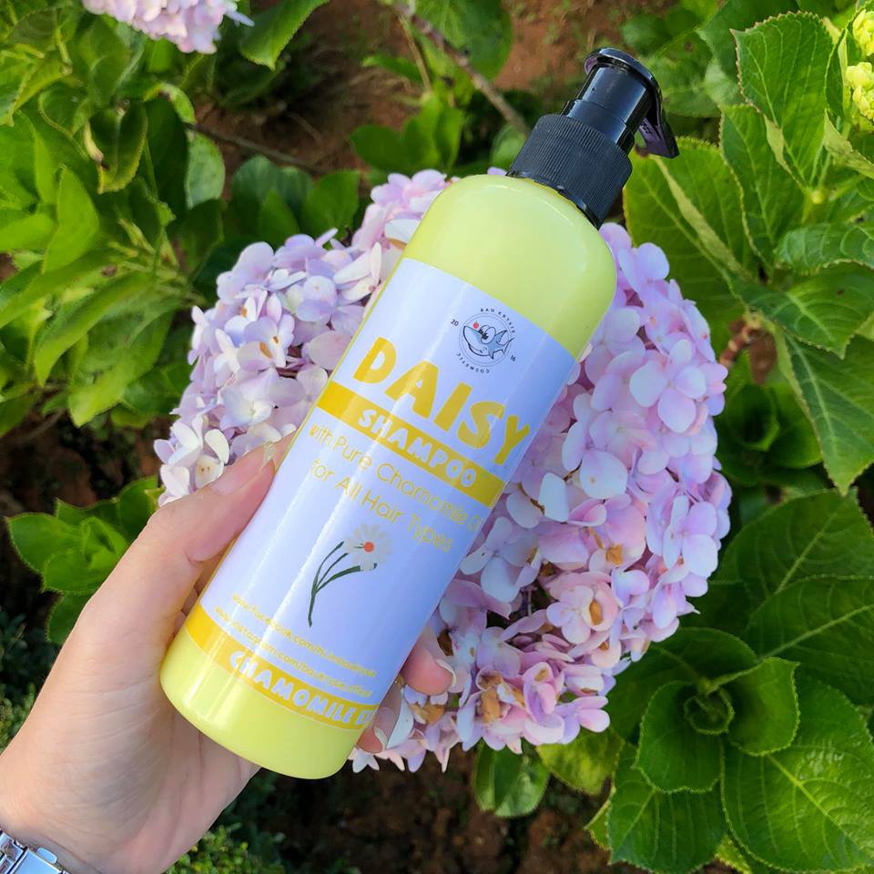 DAISY SHAMPOO - Dầu gội Cúc La Mã [MUA 1 sp TẶNG 1 gương HQ]