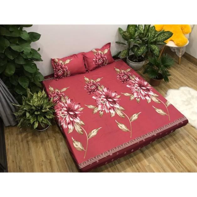 Bộ Ga Gối 3 Món Cottong Poly - Cúc Mận 2020 ( Ưu Đãi Quà Tặng )