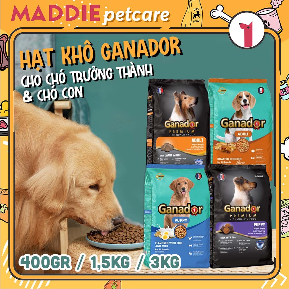 THỨC ĂN KHÔ GANADOR - DÀNH CHO CHÓ CON & CHÓ TRƯỞNG THÀNH - SỮA DHA - THỊT CỪU & GẠO - SỮA TRỨNG - GÀ QUAY