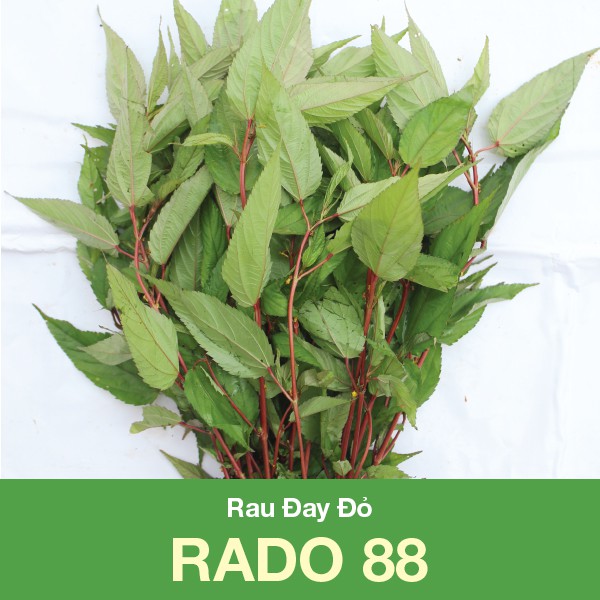 Hạt giống Rau Đay Đỏ Rado 88 Dễ Trồng, Nhiều Dinh Dưỡng (10gr)