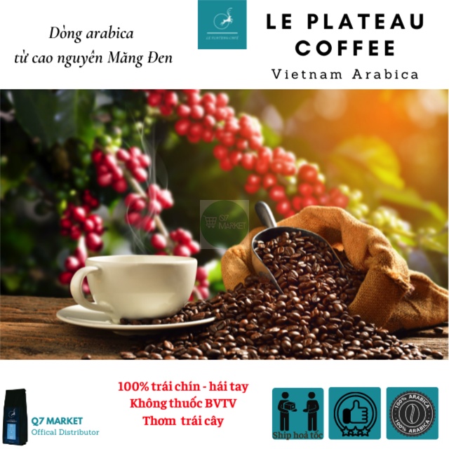 Cà phê ngon arabica nguyên chất rang xay, cafe pha phin, caphe pha máy, cold brew, 250g Le Plateau coffee q7market | BigBuy360 - bigbuy360.vn