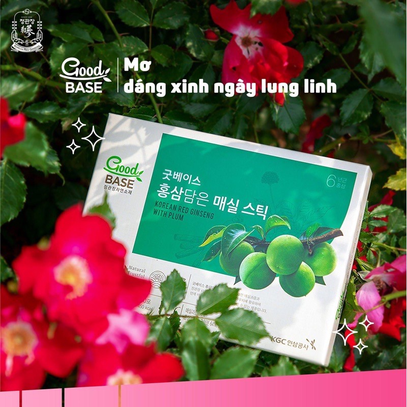 Goodbase Hồng sâm chứa mơ Cheong Kwan Jang - Giải độc, giảm chứng khó tiêu, làm đẹp da