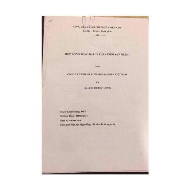 Son Roses Chính Hãng FULL 9 Màu