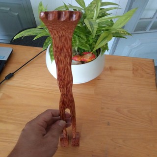 cây gãy lưng và đấm bóp
