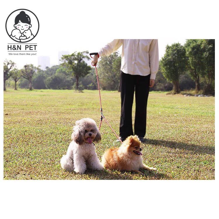 Xích đôi, dây dắt đôi chó chó mèo - Xích 2 đầu đa năng H&amp;N PET