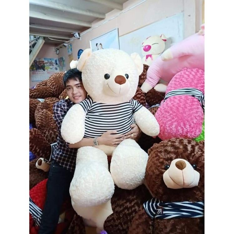 Gấu bông Teddy 1m8 to ❤️𝑯𝒂̀𝒏𝒈 𝑪𝒂𝒐 𝑪𝒂̂́𝒑❤️, gối ôm hình thú nhồi bông siêu to khổng lồ Tina.vn