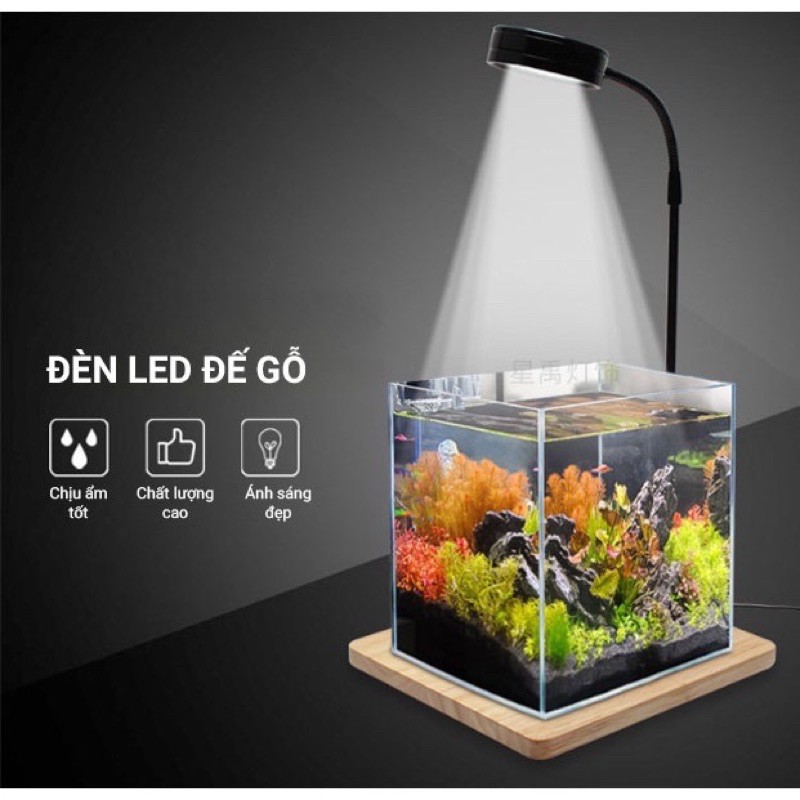 Đèn Led đế gỗ bể cá mini 3-5-7-9W