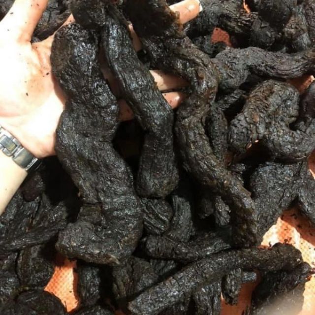Sỉ như lẻ nhục thung dung 100g - 200g -300g