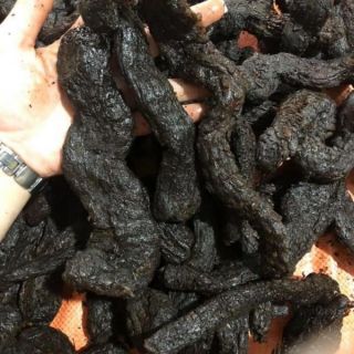 Sỉ như lẻ nhục thung dung 100g - 200g -300g