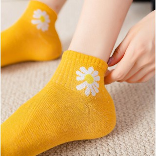 Tất Vớ Nữ Hoa Cúc Cổ Ngắn