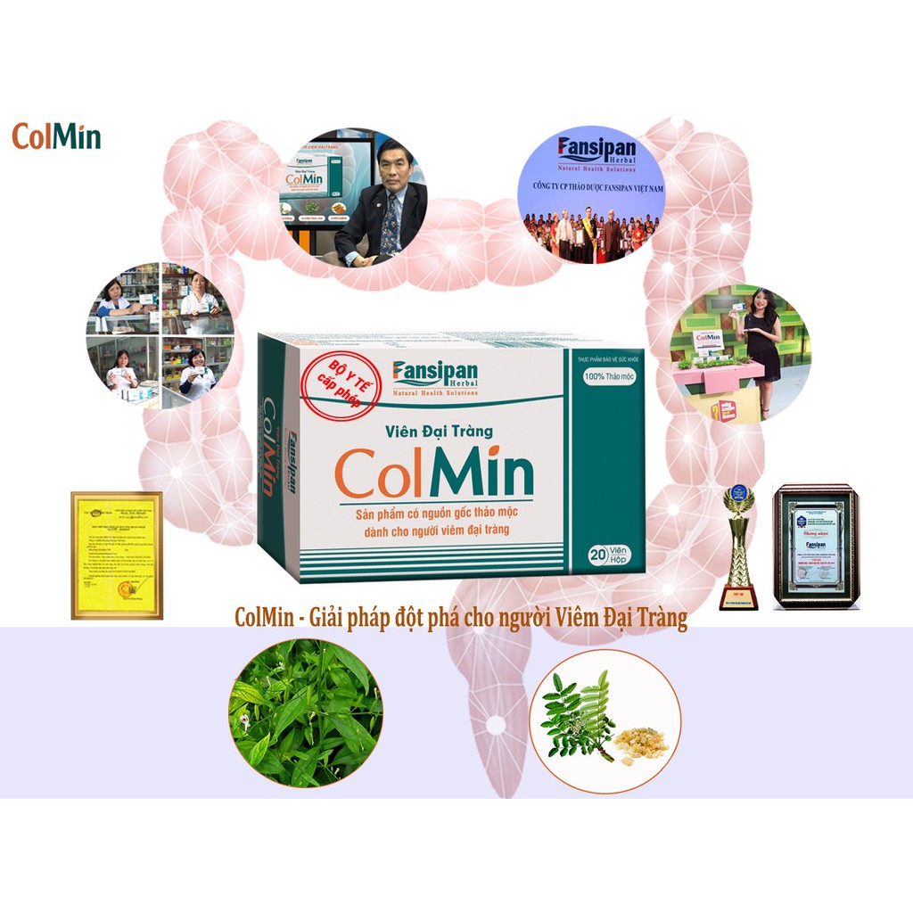 Viên Đại Tràng Colmin - Hỗ Trợ Viêm Đại Tràng & Đại Tràng Co Thắt  - Hộp 20 viên