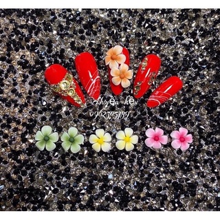 hoa bột_ hoa nail_ hoa sứ