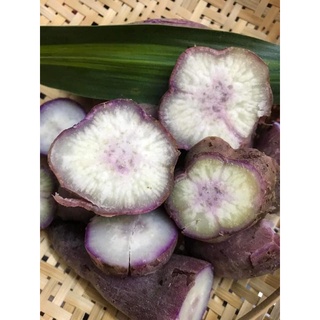 Combo 3kg Khoai Lang Dương Ngọc (Như Ngọc)