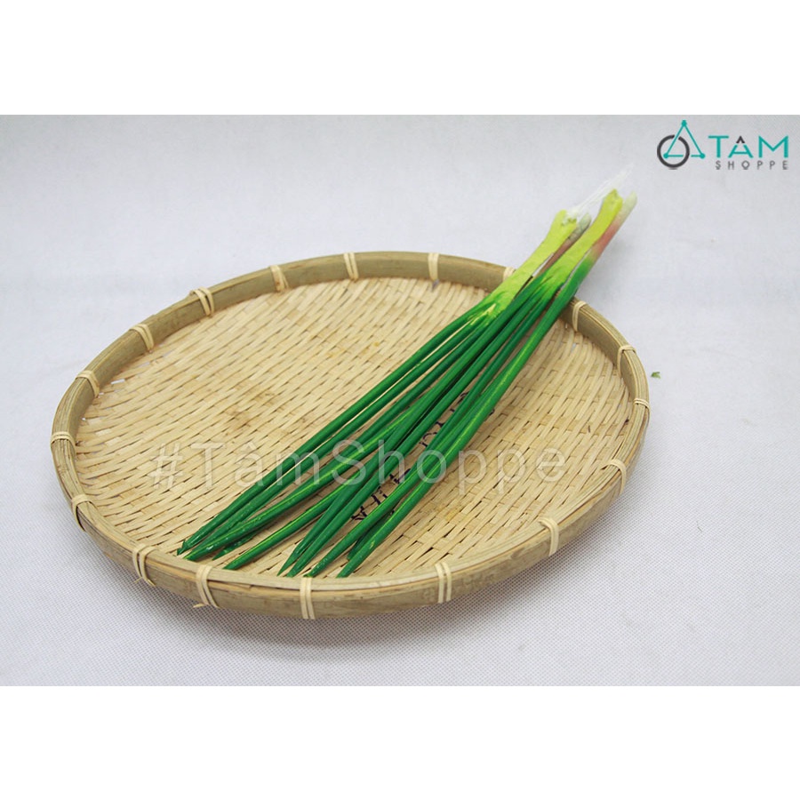 Mô hình lá hành giả trang trí như thật D34cm