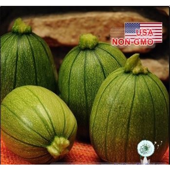 Shop 1K - Gói 5 Hạt Giống Bí Ngòi Tròn (RADO678) Sai Trái 1gr F1