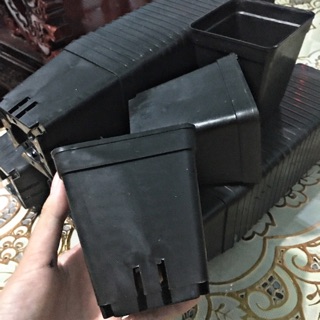 Chậu nhựa đen 57 và 9*9