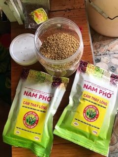 Cám thay lông Nam Phở
