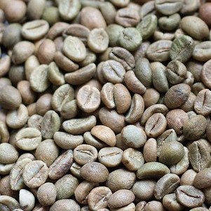 Cà phê robusta nhân sống chưa rang -  hàng chọn lọc từ nông hô 1 kg - Moka cafe