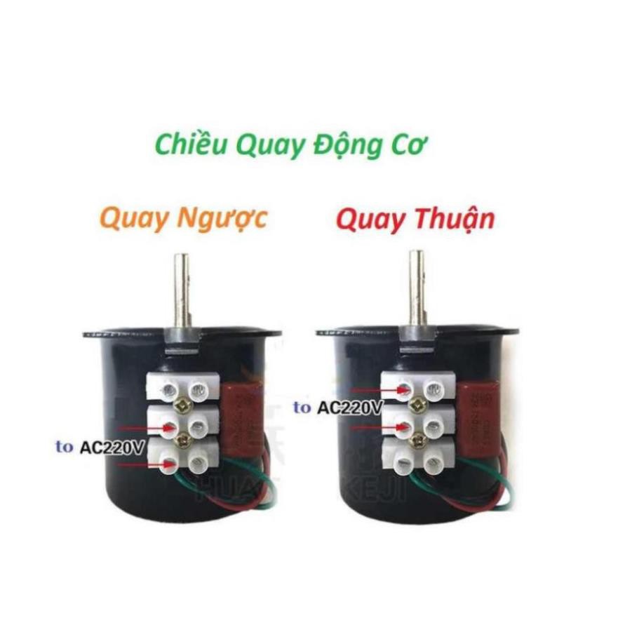 Mô Tơ 220V 14W 5RPM 10RPM 15RPM 20RPM 30RPM 60KTYZ Motor 220V Động Cơ 220V Giảm Tốc 220V Quay Gà Vịt