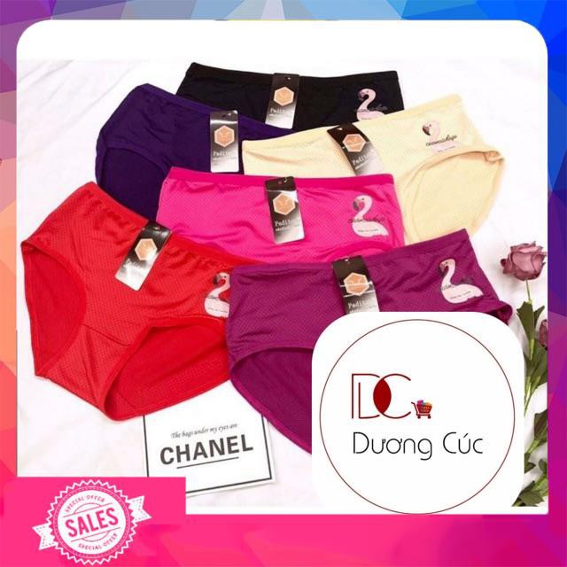 10 Quần Chip Thái Thông Hơi Kháng Khuẩn Con Thiên Nga