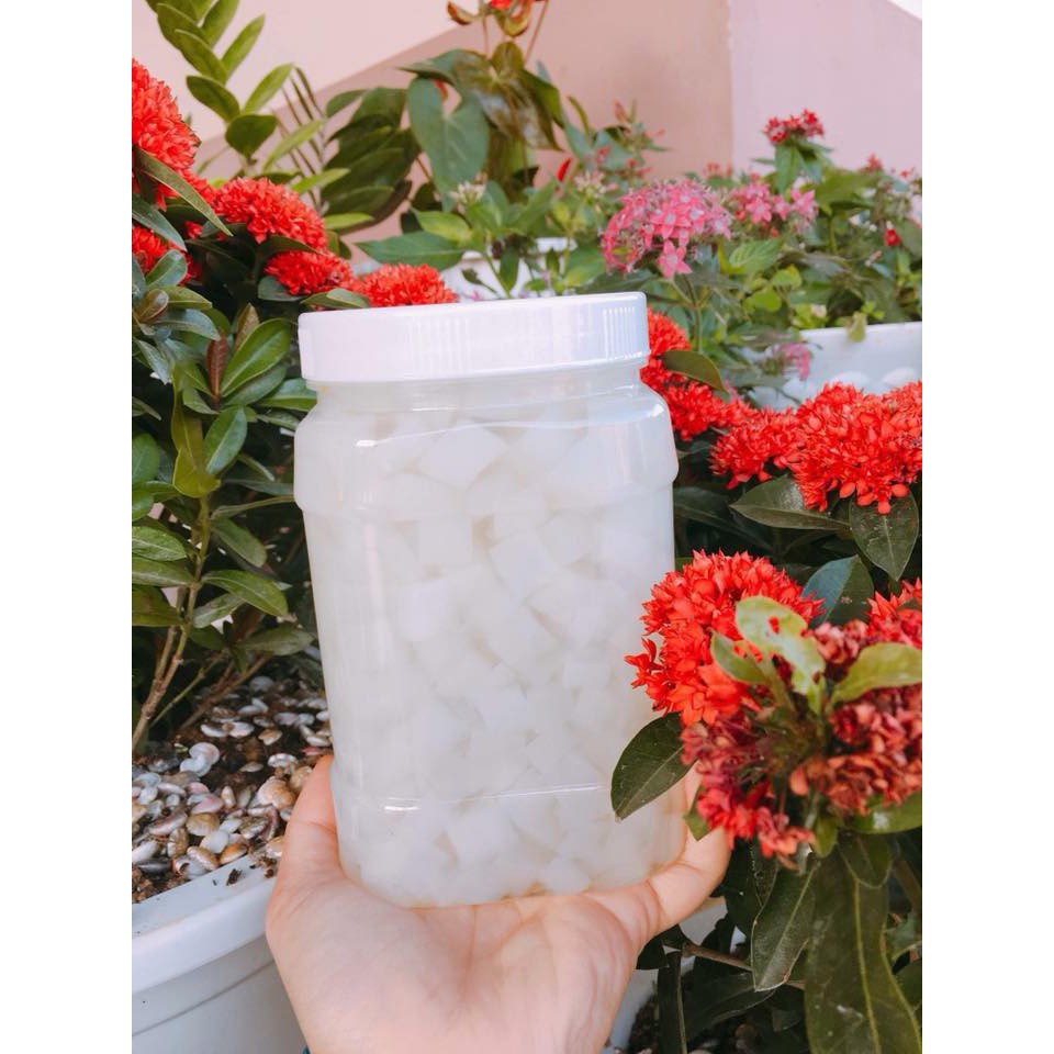 Thạch dừa ép khô 14 Ly