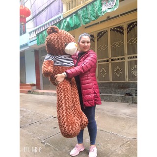 Gấu bông teddy