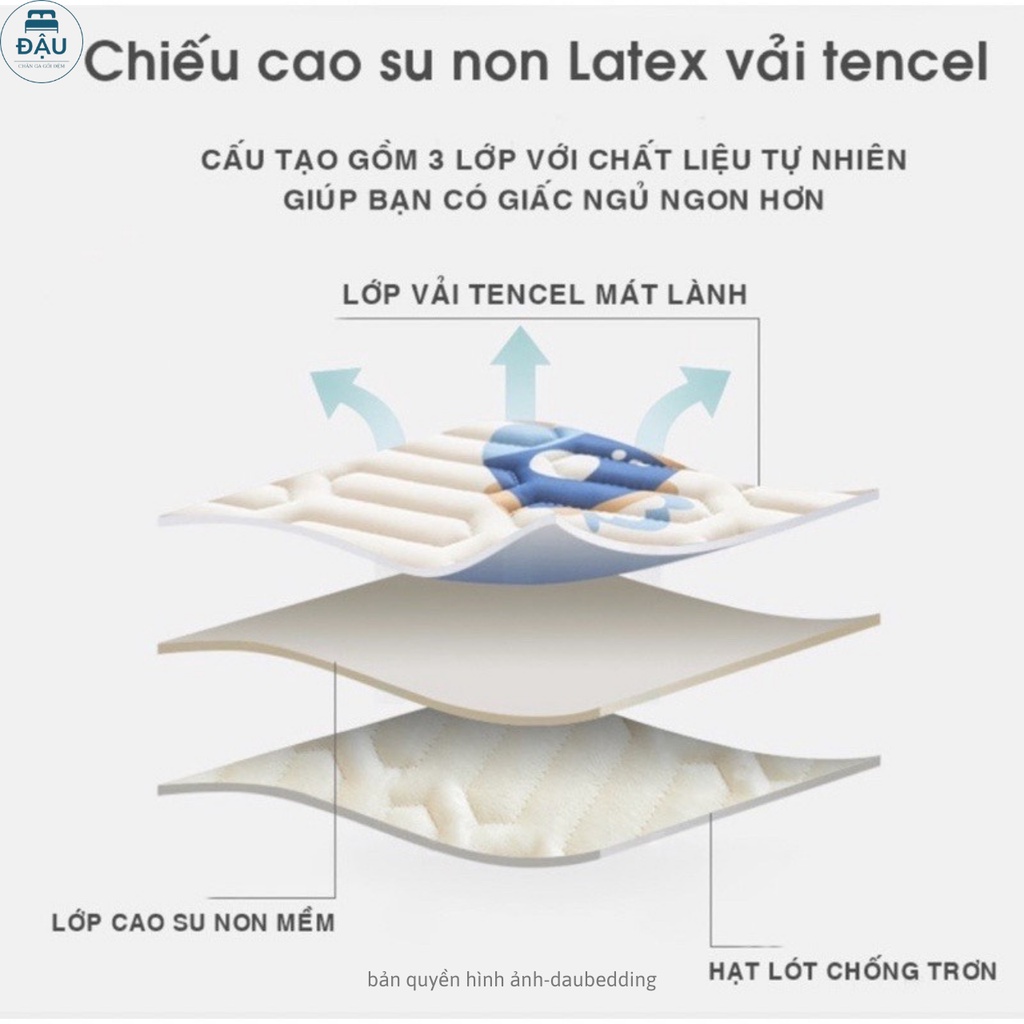 CHIẾU ĐIỀU HOÀ CAO SU NON LATEX Thái Lan Nhập Khẩu Cao Cấp - Tặng Kèm 2 Vỏ Gối