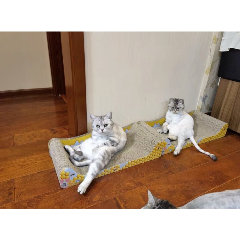 Ổ nằm kết hợp bàn cào móng cho mèo siêu to hoạ tiết xinh xắn🌵🦩🐝 tặng kèm catnip