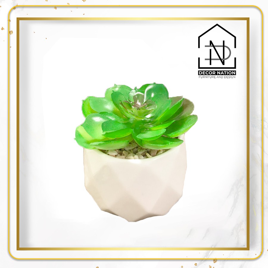 Cây Sen Đá giả mini mọng nước tặng kèm chậu Ceramic trắng có sỏi (mẫu 2)