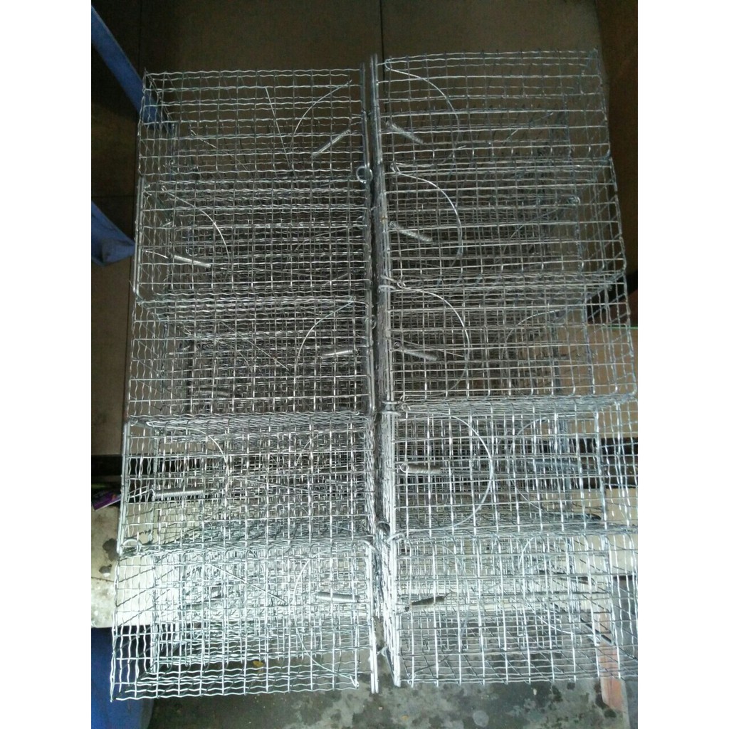 Combo 2 bẩy chuột , sóc trung