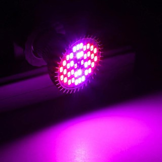 Đèn led 30W E27 chuyên dụng trồng cây