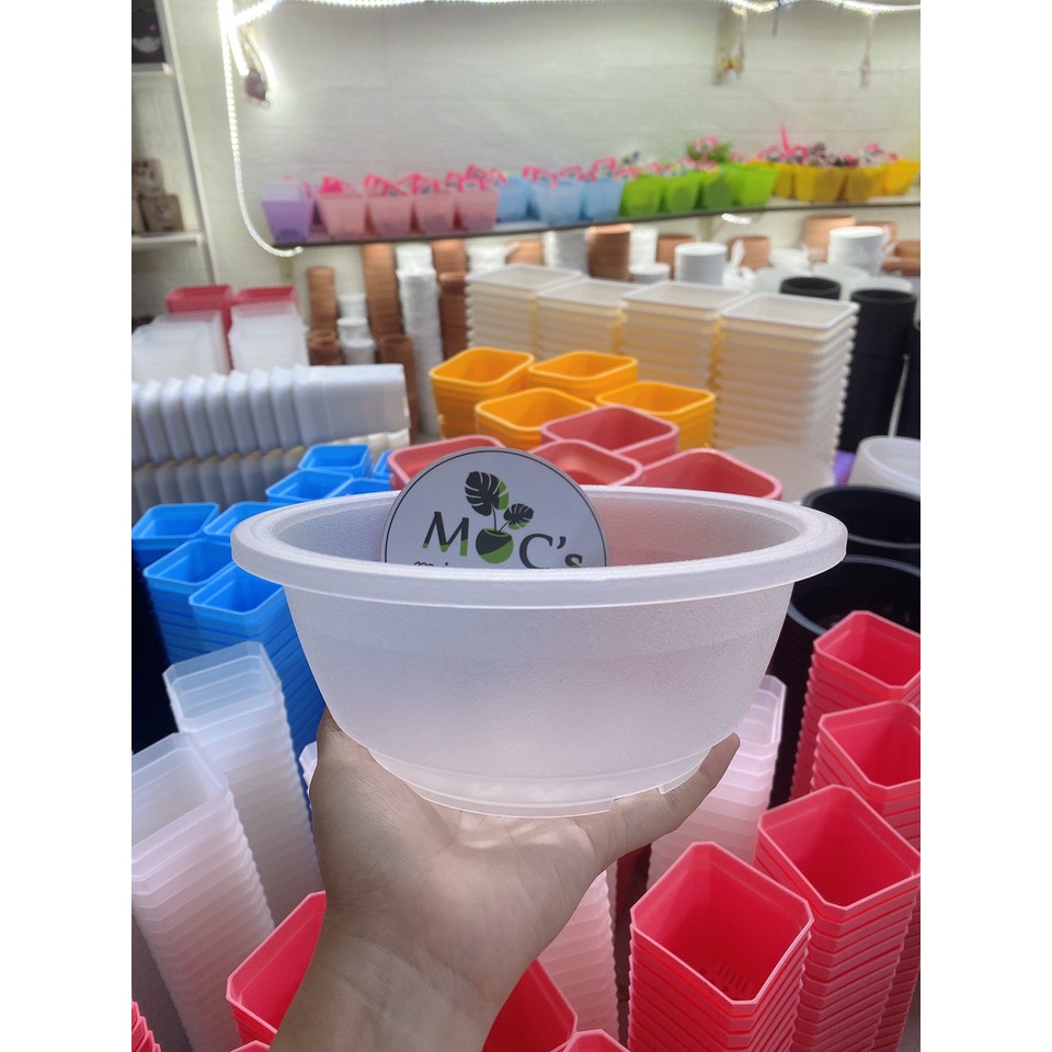 Chậu nhựa miệng tròn cao cấp trồng sen đá, xương rồng | Đen - Trong Suốt | CNT04 | 3 kích thước || mocminigarden