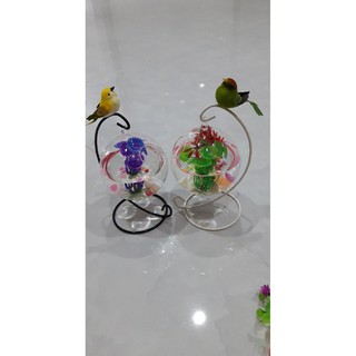 Bể Cá Mini Để Bàn trang trí  C33 12 Cỡ To ( Tặng kèm combo phụ kiện trang trí )