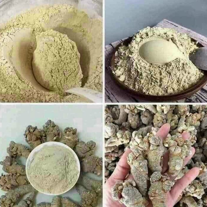 Củ tam thất khô