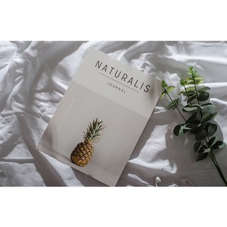 [PHỤ KIỆN CHỤP ẢNH - FLATLAY] POSTCARD