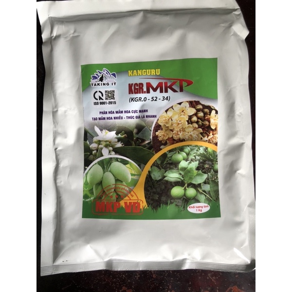 MKP 52-34 tạo mầm hoa cực mạnh,ra hoa đồng loạt