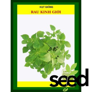 [MIỄN PHÍ SHIP] 1 Gram-  Hạt Giống Rau Kinh Giới