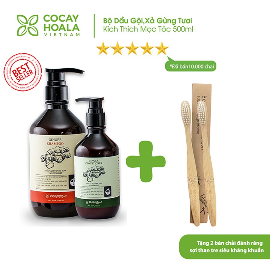 Bộ dầu gội-xả gừng tươi Cocayhoala kích thích mọc tóc 500ml | BigBuy360 - bigbuy360.vn